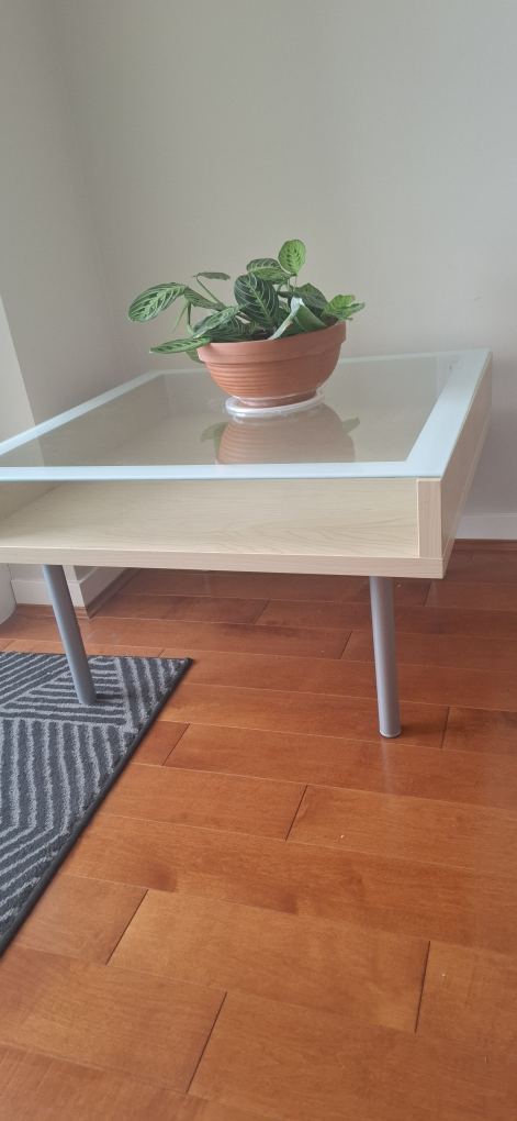Glass Top Coffee Table