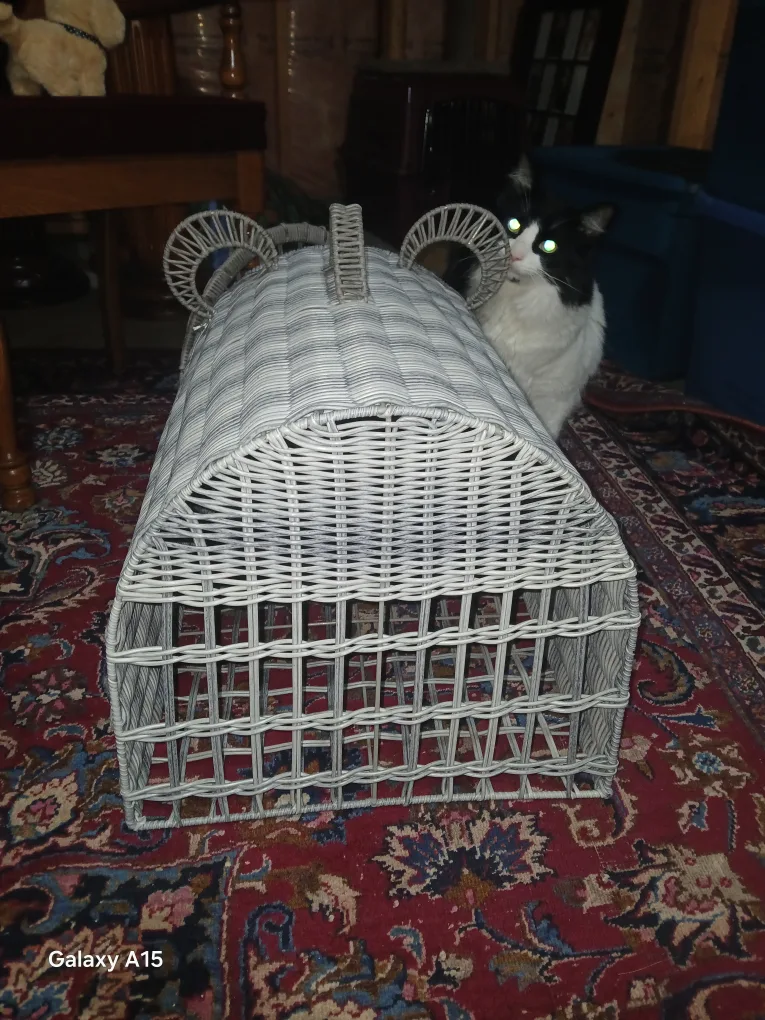 Wicker Pet Carrier image indicator(3)