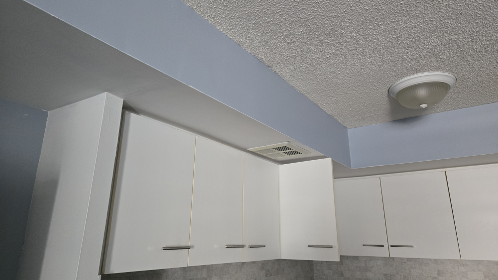 Sherwin-Williams Emerald Interior Acrylic Latex Paint - Lakeside - photo 4