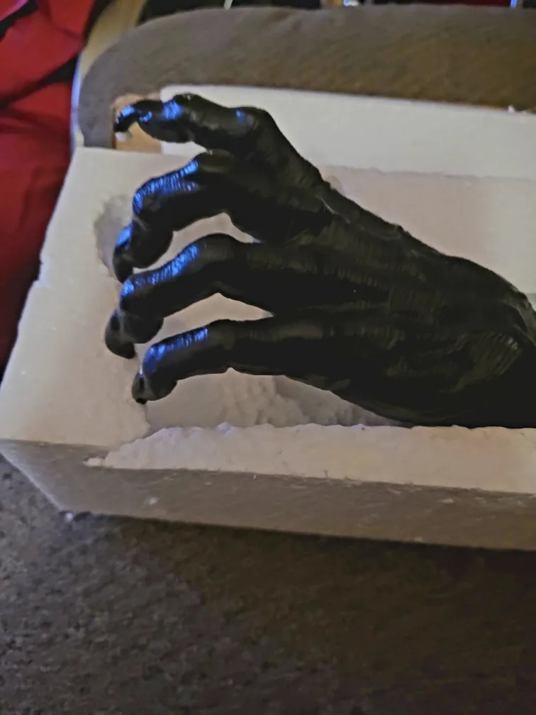 Black Decorative Hand thumbnail