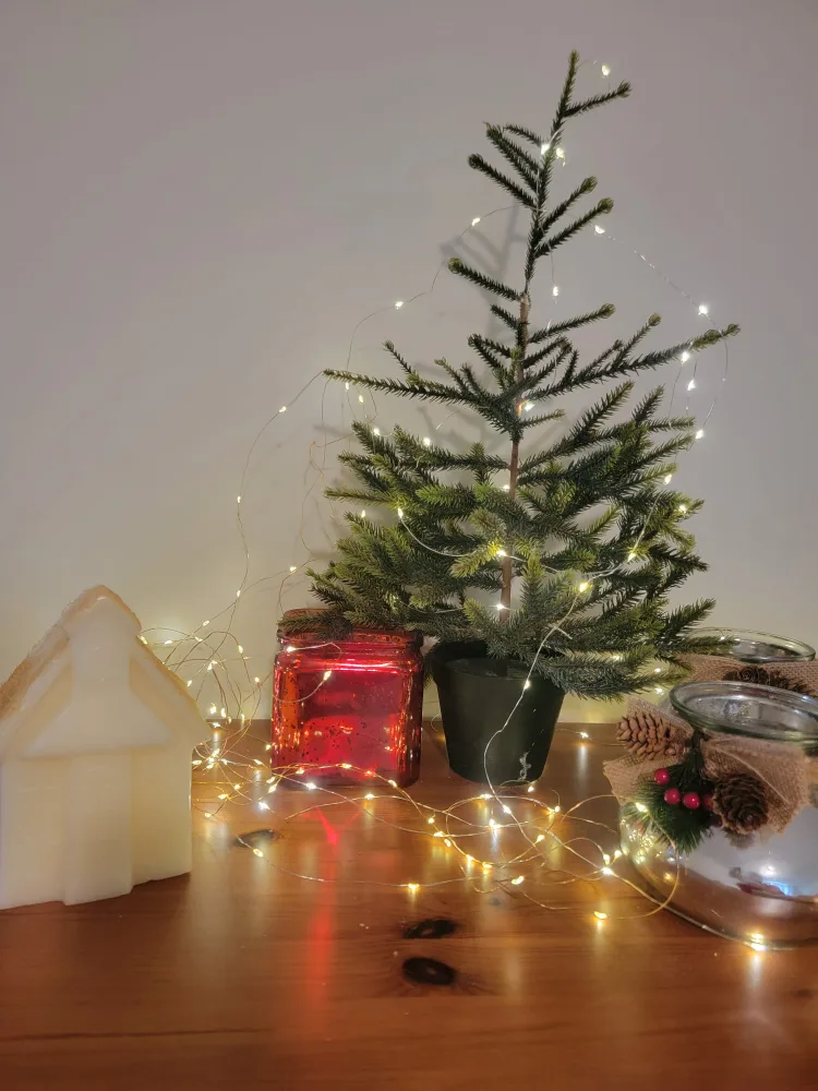 Miniature Christmas Tree with glass pot image indicator(2)