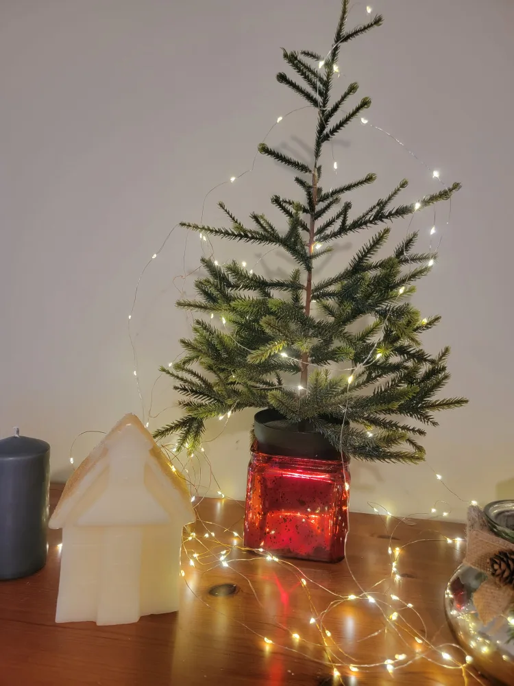 Miniature Christmas Tree with glass pot thumbnail