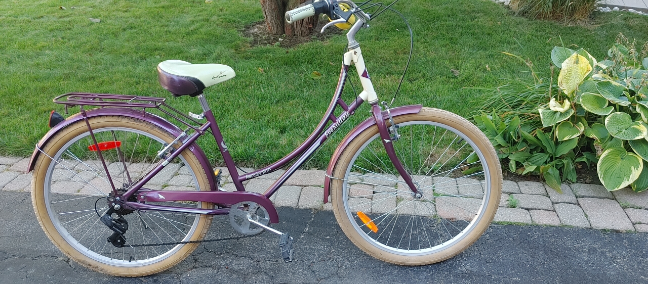 Two bikes for the price of one
