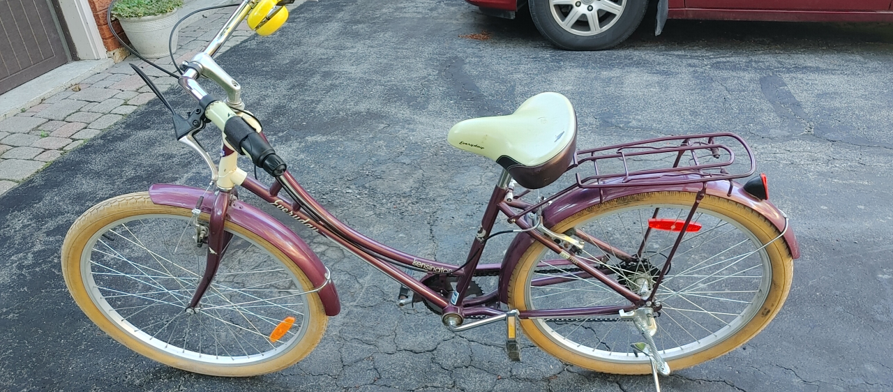 Two bikes for the price of one - photo 3