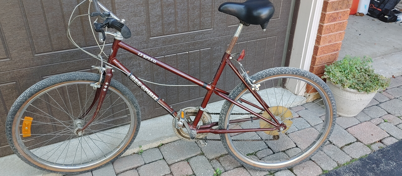 Two bikes for the price of one - photo 4