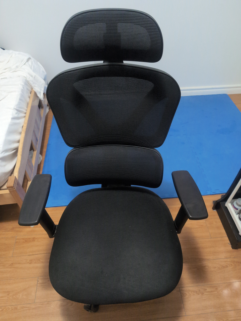 Ergonomic Office Chair