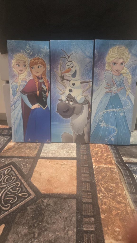 Frozen Canvas Wall Art Set
