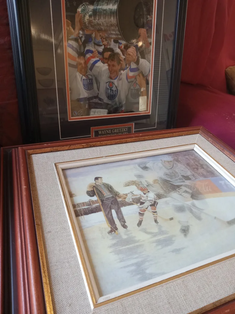 Wayne Gretzky Edmonton Oilers Framed Pictures image indicator(10)