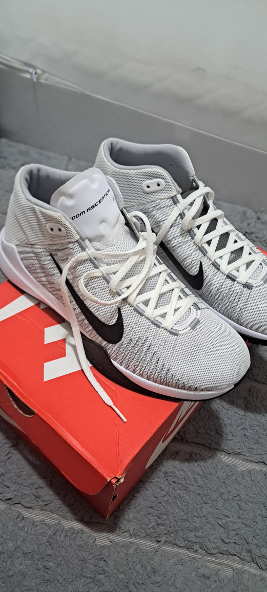 Nike Zoom Ascension Basketball Shoes
