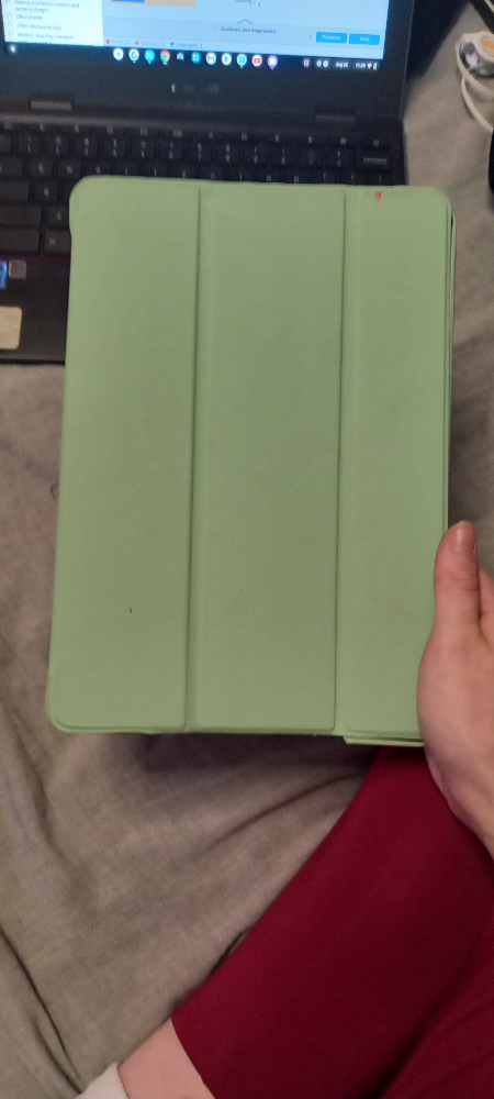 Light Green iPad Case