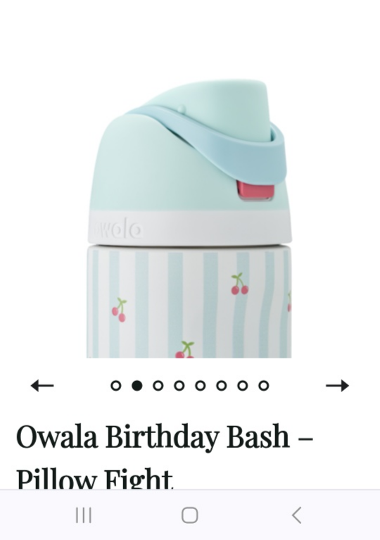 Owala Birthday Bash Pillow Fight Water Bottle - photo 2