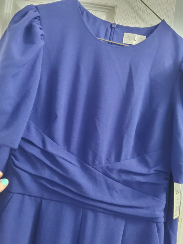 Eliza J Blue Jumpsuit - Size 4 image indicator(2)