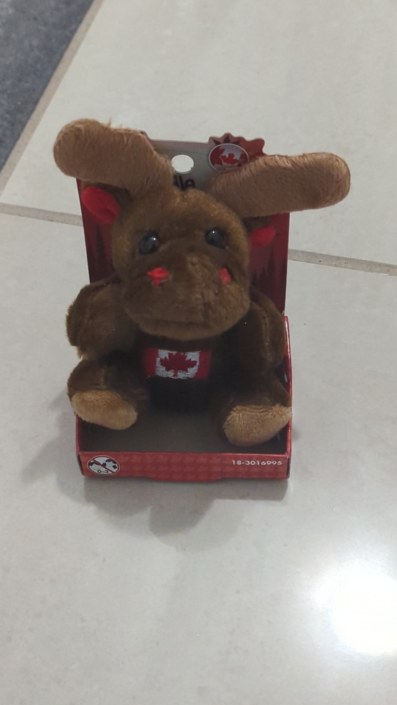 Canadian Moose Plush Toy with Maple Leaf