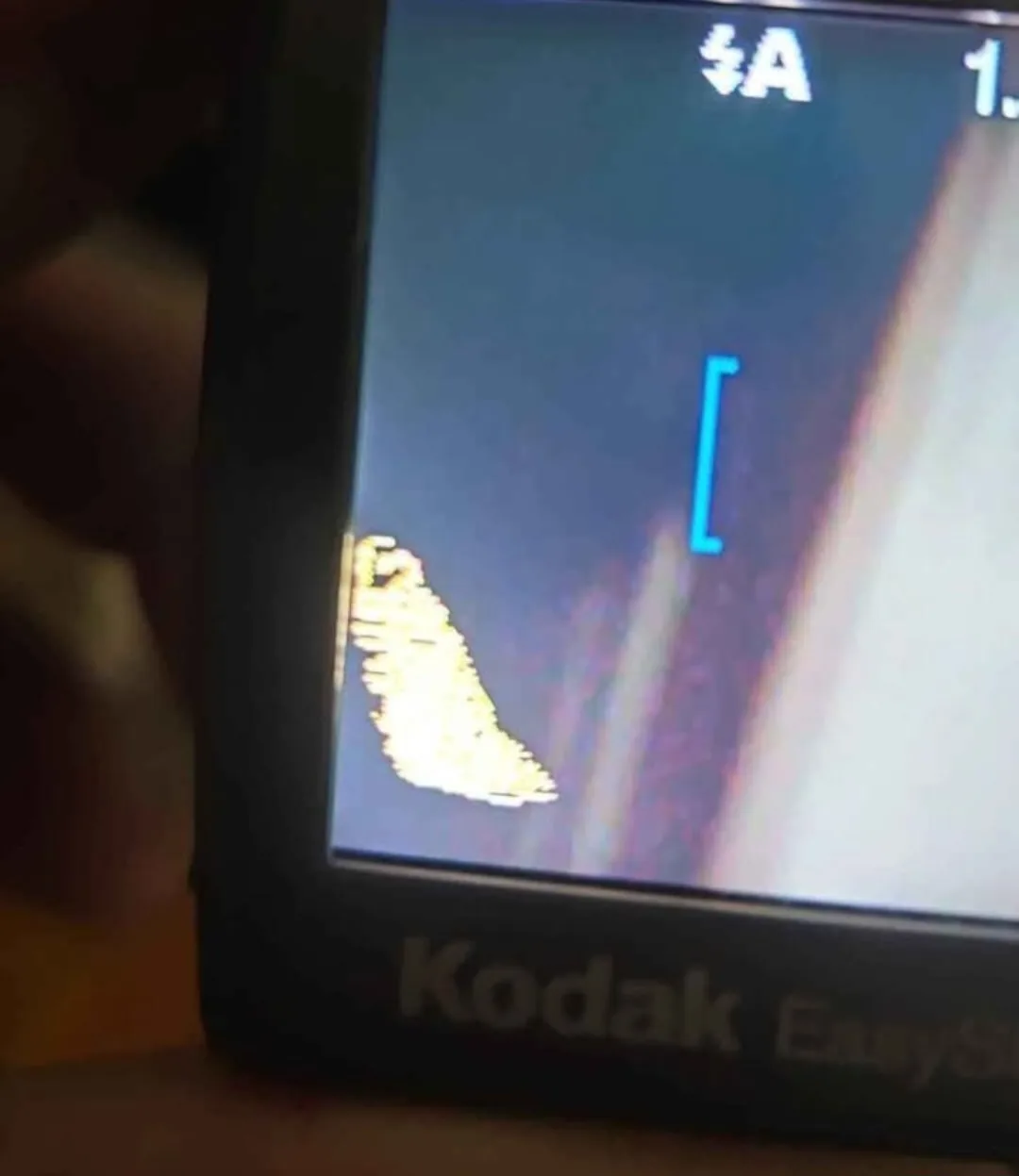 Kodak EasyShare DX7630 6.1 MP Digital Camera image indicator(3)