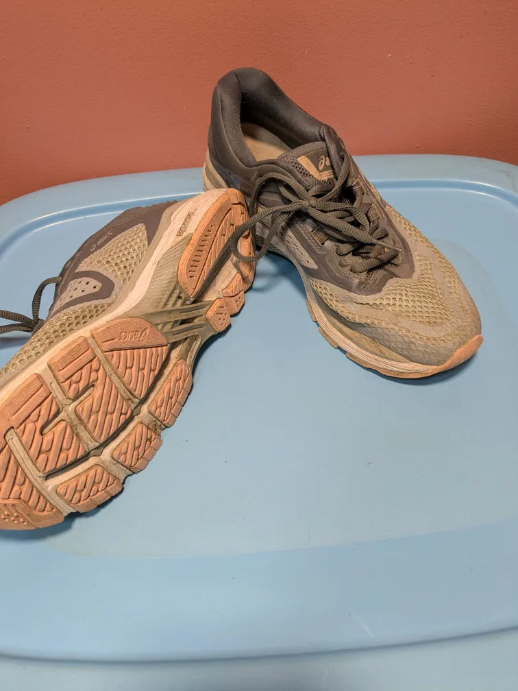 ladies running ahoes❤️ image indicator(2)