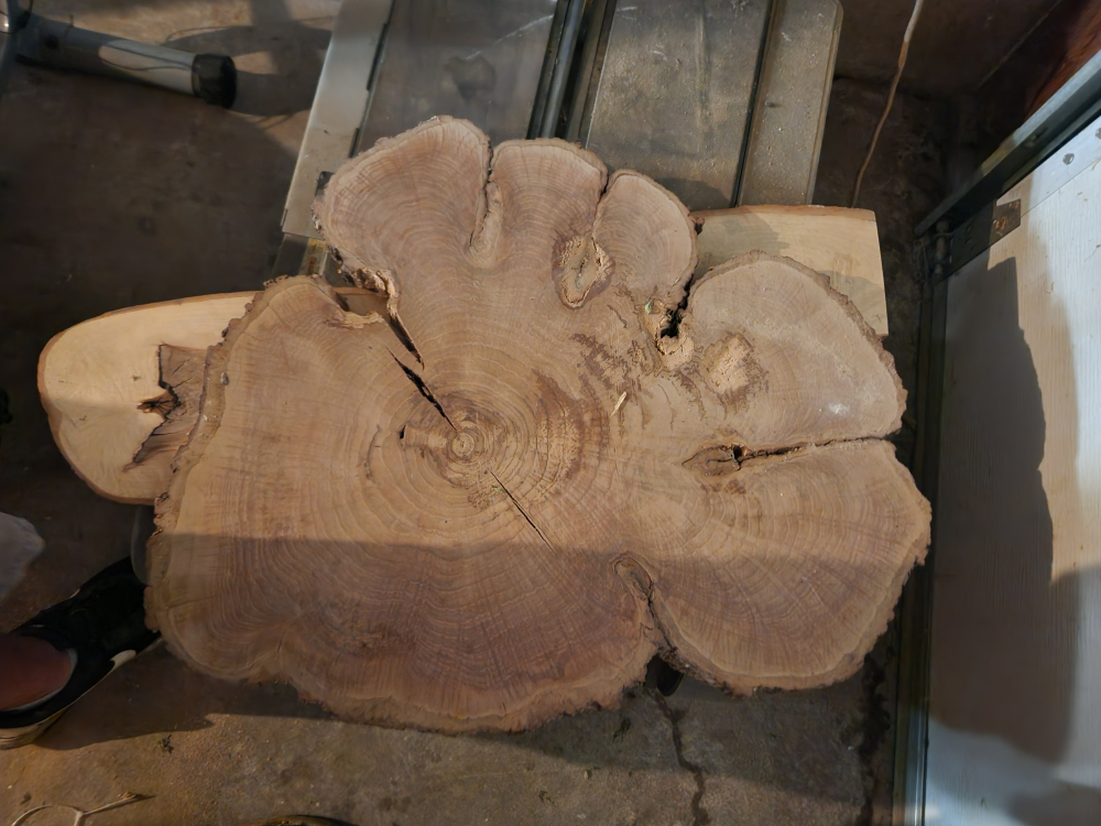 140+ year old cherry round - photo 2