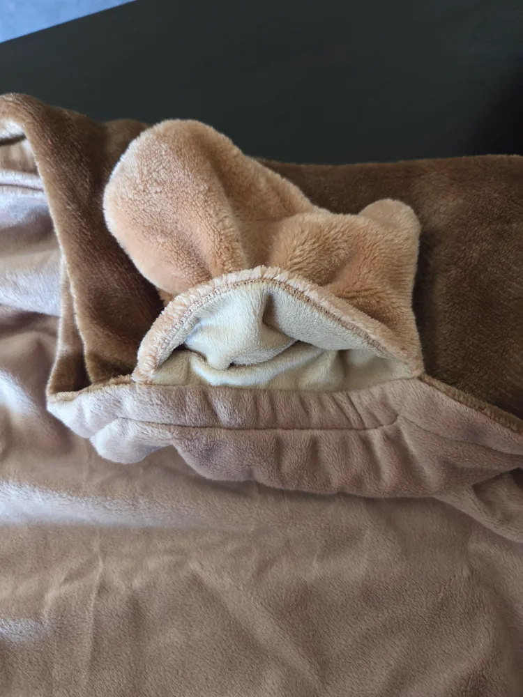 Jurassic World Hooded Blanket image indicator(3)