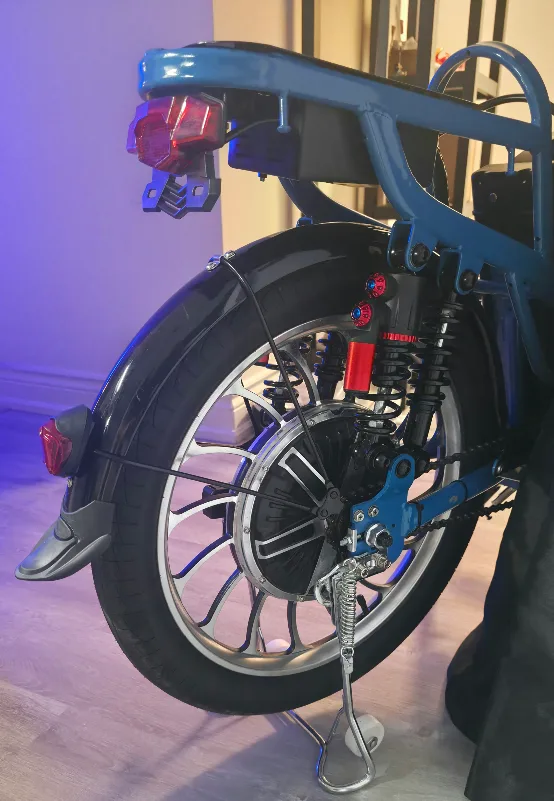 New Tankx 48V30AH 1000W Electric Bike, Cargo Ebike, Warranty image indicator(8)