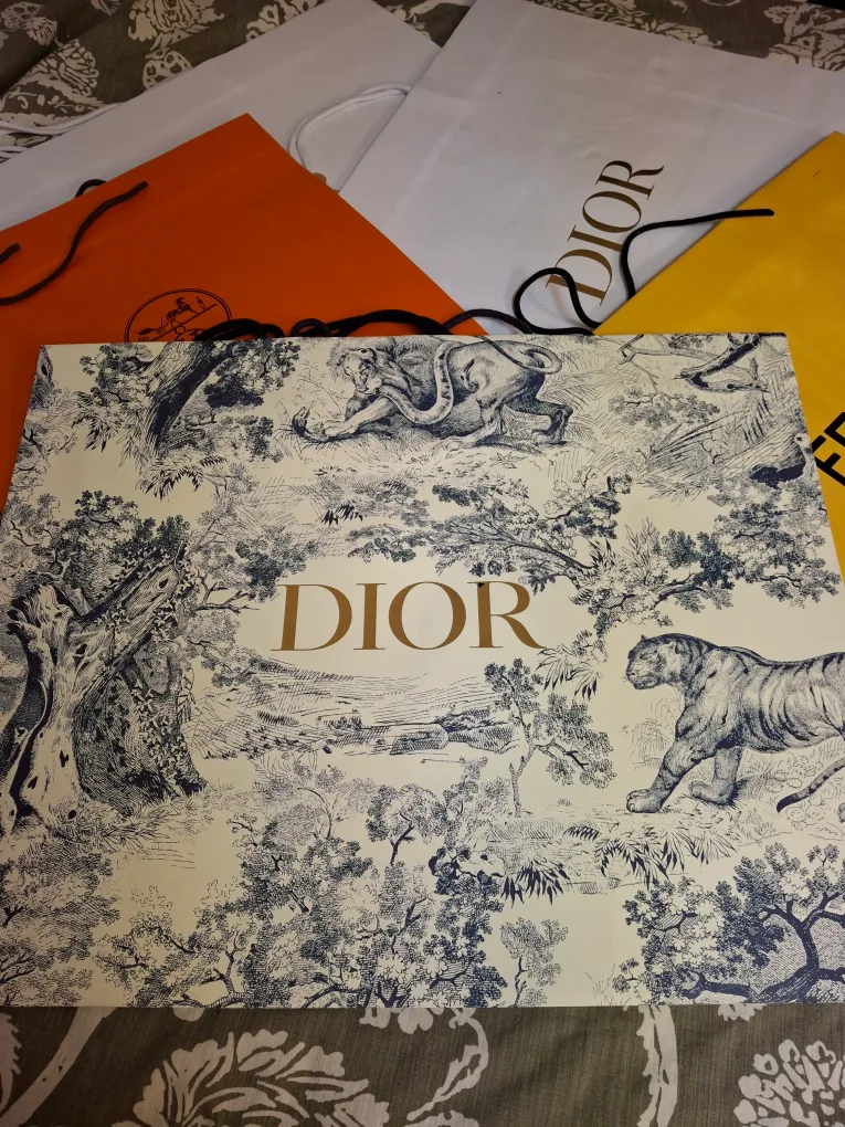 Designer Paper Bags: Chanel, Dior, Hermès, Fendi image indicator(2)