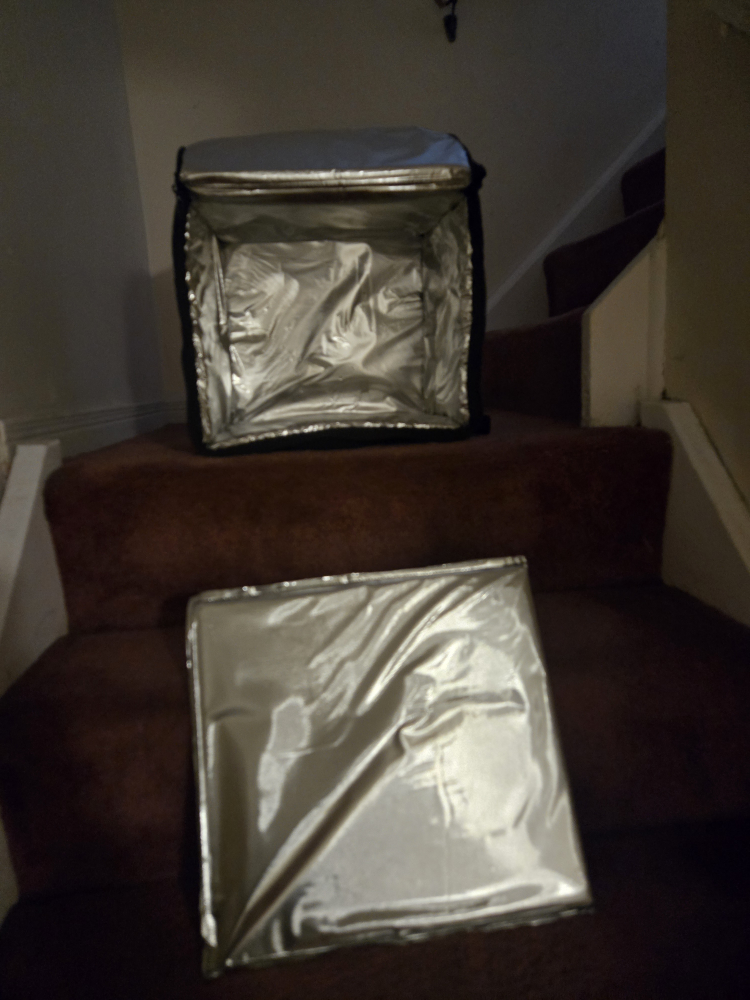 Skip The Dishes Delivery Bag - photo 5