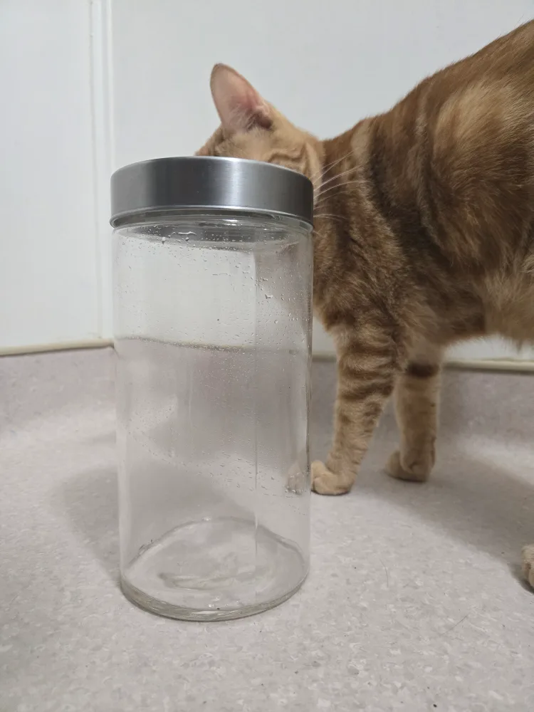 Glass Container image indicator(2)