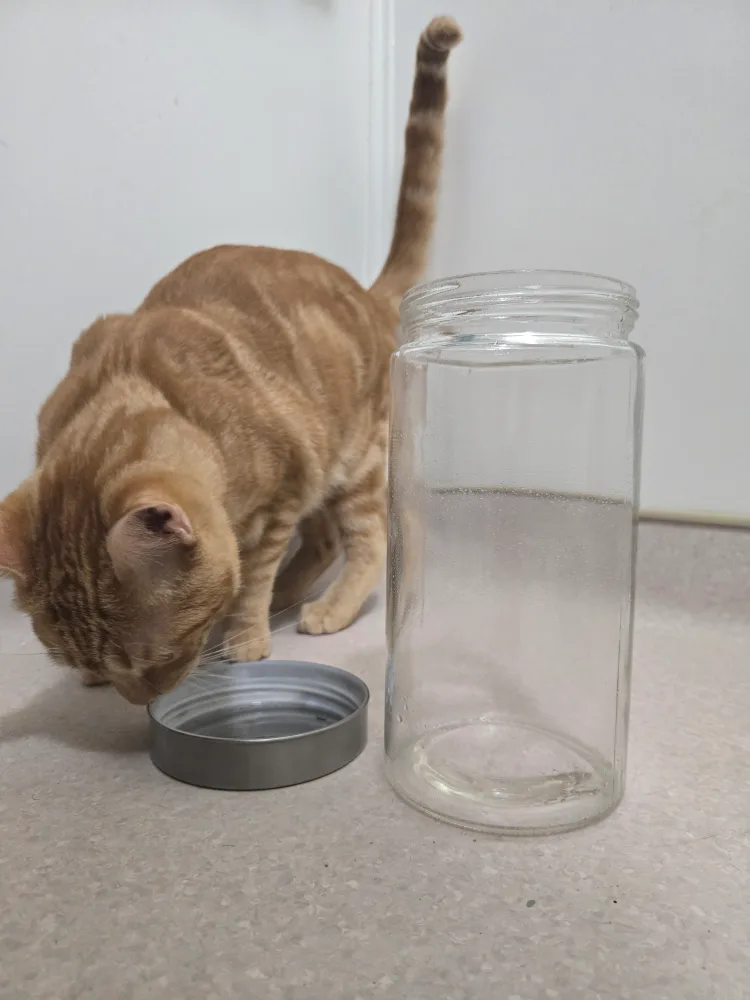 Glass Container image indicator(3)