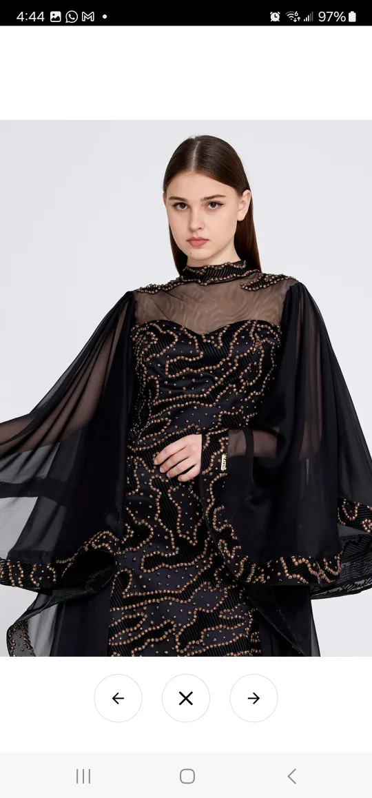 Black Embellished Evening Gown image indicator(3)