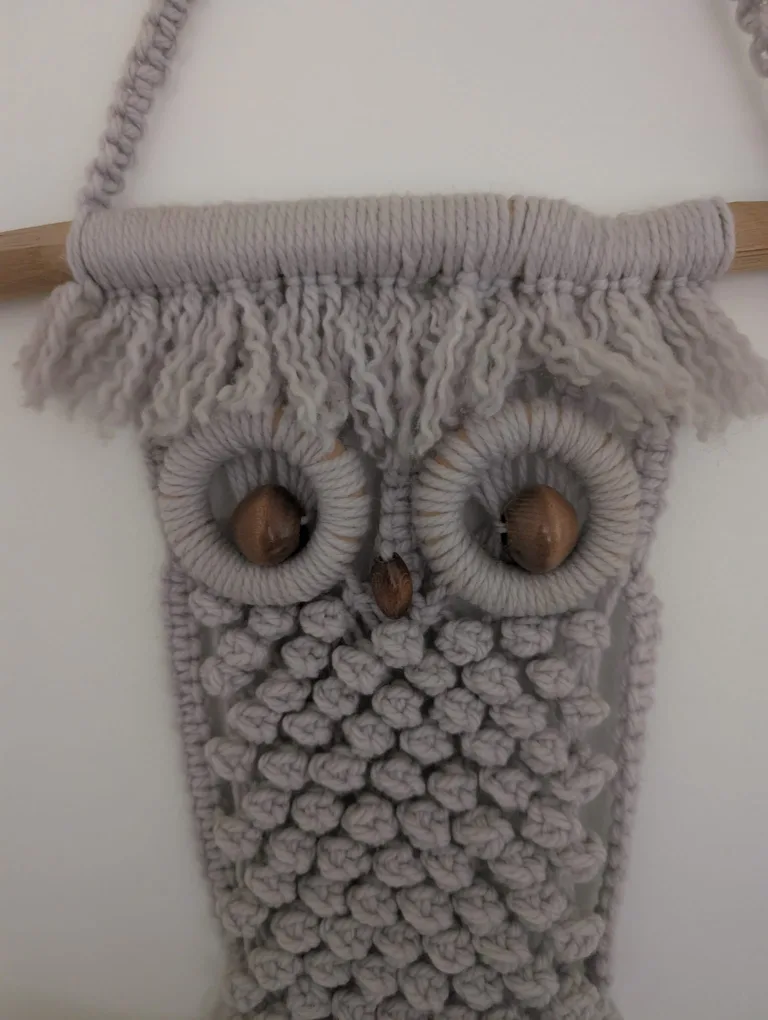 Vintage Macrame Owl Wall Hanging image indicator(4)