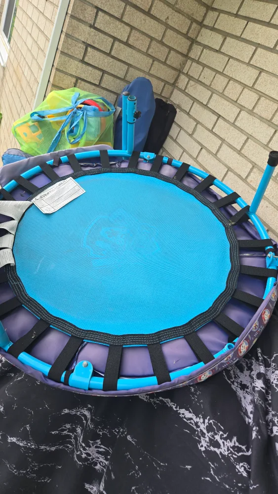 Paw Patrol Kids Trampoline image indicator(2)