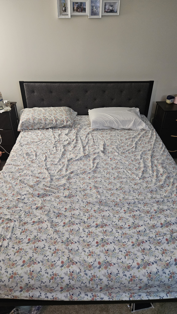 Queen Mattress (Sealy firm) and Bed Frame - photo 4