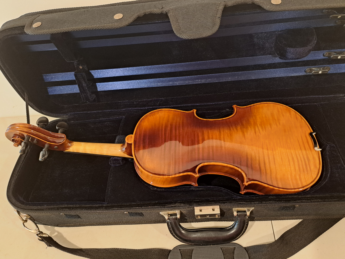 Alegra violin - photo 3