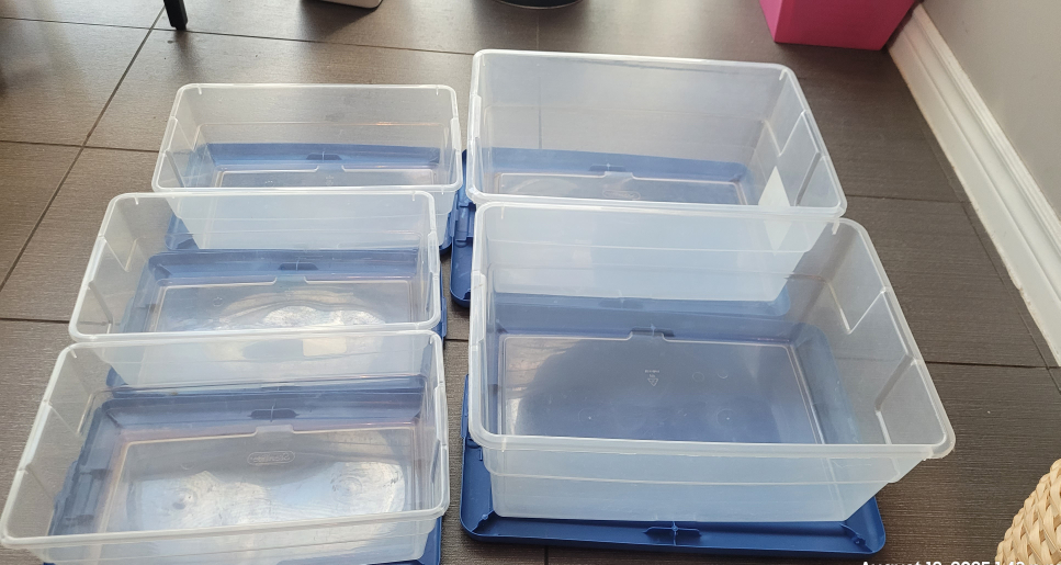 Sterilite Storage Boxes with Lids- last pick up dt.Aug.19