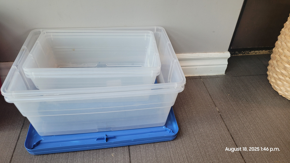 Sterilite Storage Boxes with Lids- last pick up dt.Aug.19 - photo 2