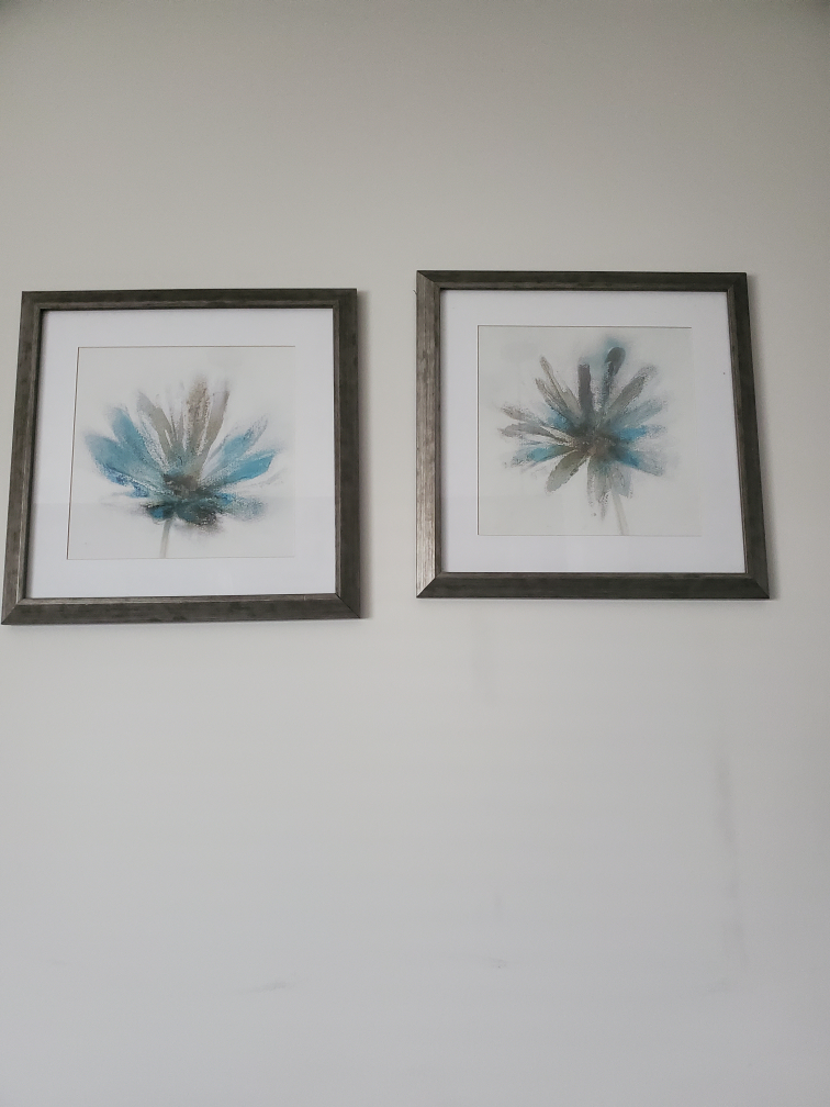Framed Floral Art Prints - Set of 2