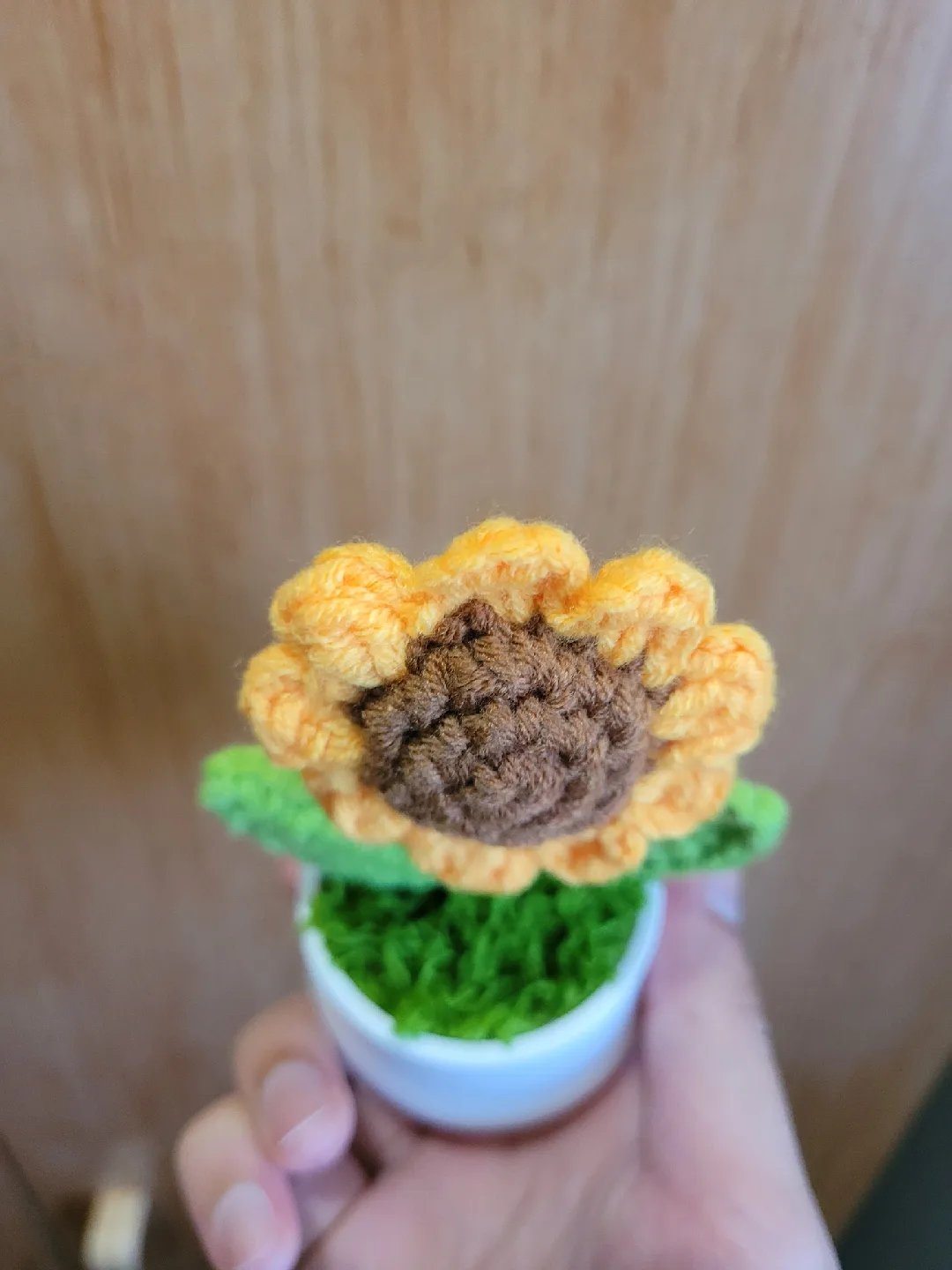 Crocheted Sunflower in White Pot image indicator(9)
