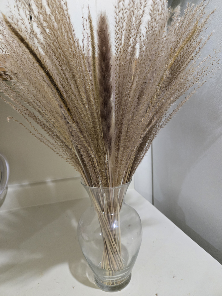 Dried Pampas Grass Arrangement