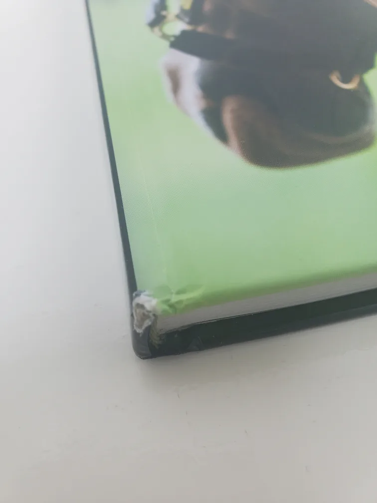 Horse Profiling book 🧡 image indicator(7)