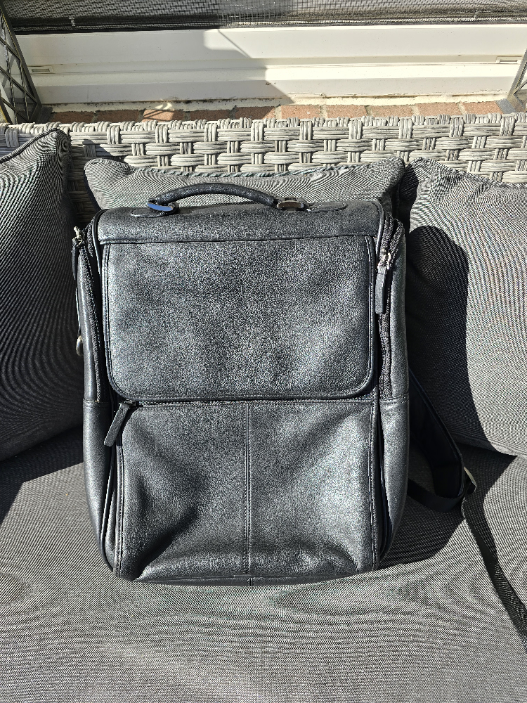 Danier Black Leather Backpack