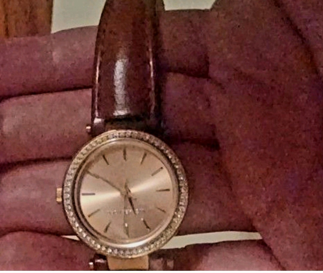 Michael Kors MK2353 Ladies Brown Watch
