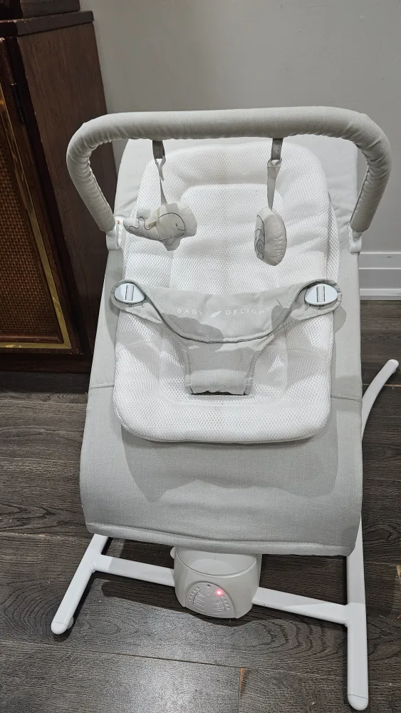 Baby Delight Infant Soother Rocker thumbnail
