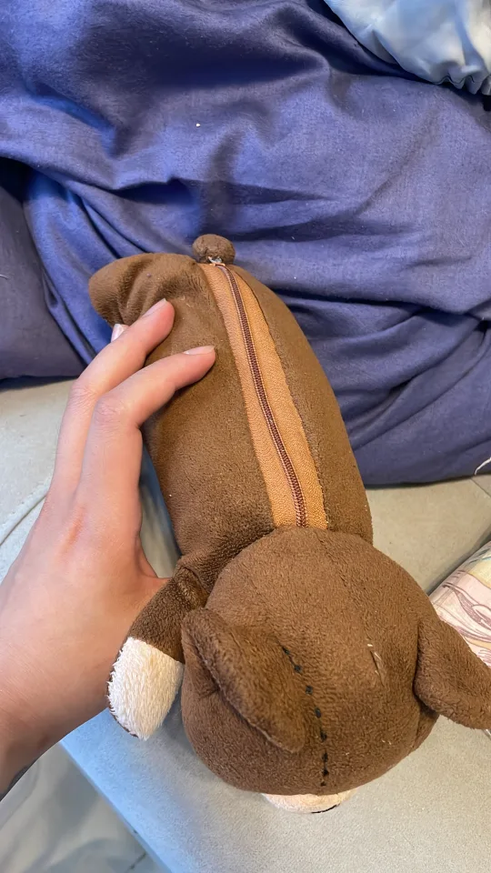 Brown Bear Plush Pencil Case image indicator(2)