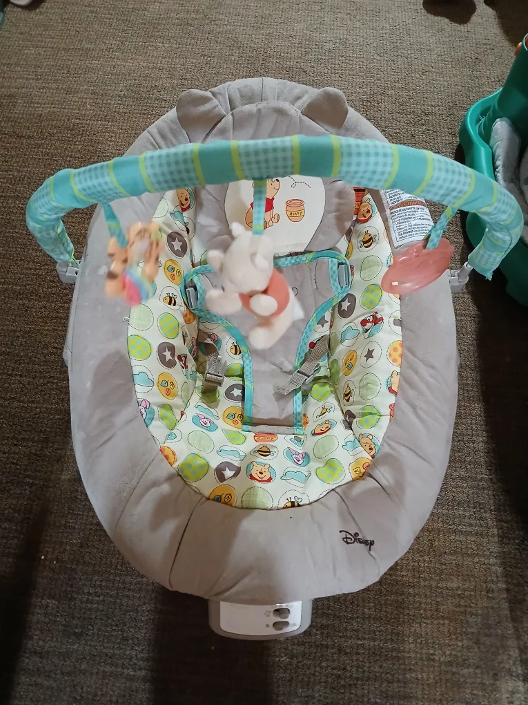 Disney Winnie the Pooh Baby Bouncer