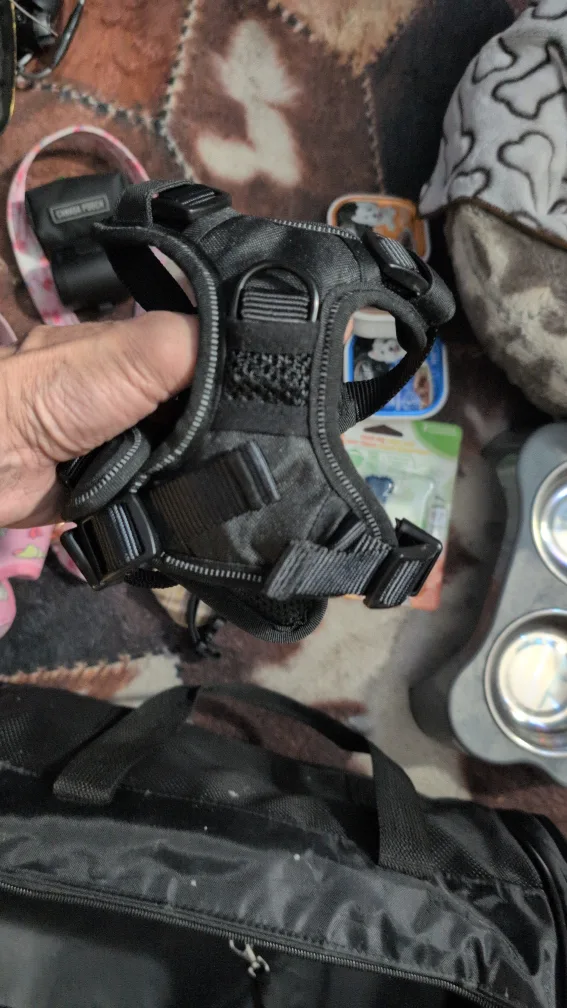 Dog Accessories Bundle image indicator(4)