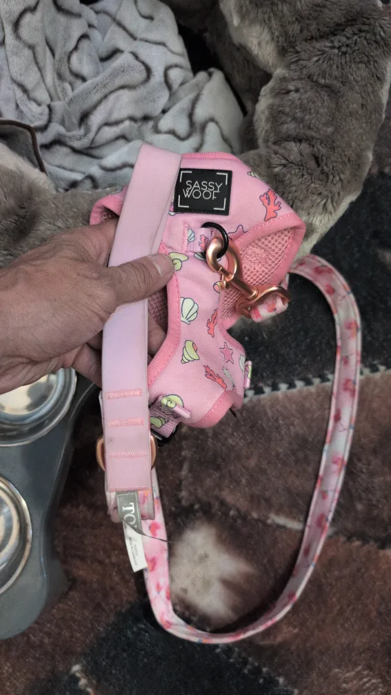 Dog Accessories Bundle image indicator(5)