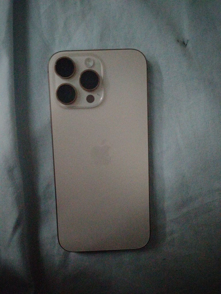 iPhone 16 Pro Max - photo 2