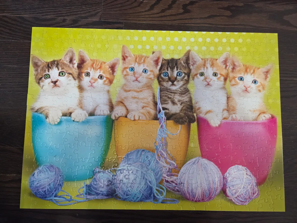 300 Piece Puzzle image indicator(2)