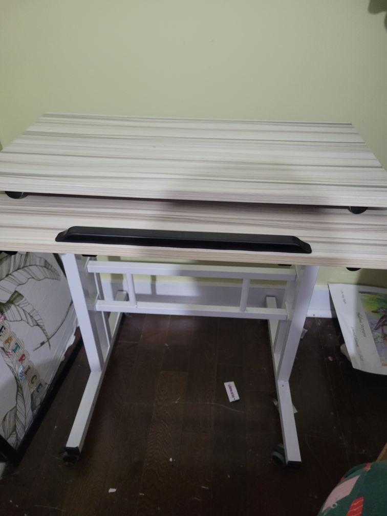 Adjustable Height Rolling Desk