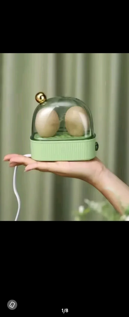 Electric Egg Steamer - Like New! thumbnail