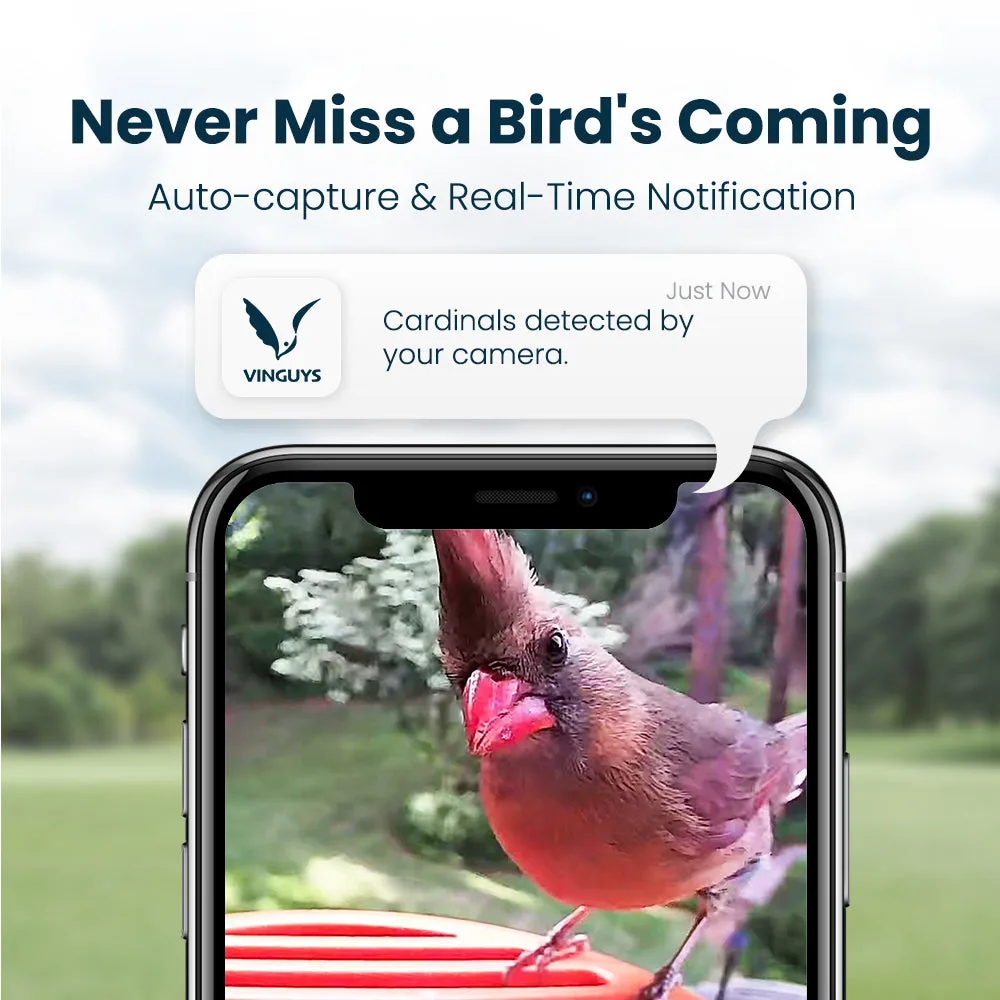 Vinguys Smart Bird Feeder Camera image indicator(2)