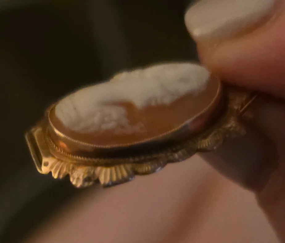 10 or 12 karat Vintage Cameo Pendant image indicator(5)